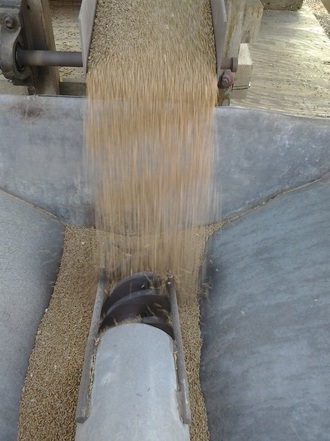 grain auger